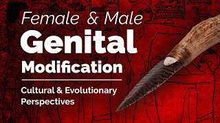 CARTA Female and Male Genital Modification [upl. by Ennovahc]