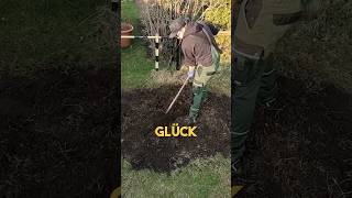 Gartenarbeit 💪🪴 kleingarten schrebergarten garten gartenarbeit YouTubeCreatorCommunity [upl. by Sunil]