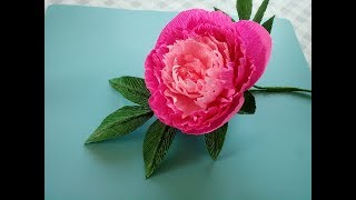 KWIATY Z KREPINY PIWONIA PEONIA TUTORIAL [upl. by Leona]