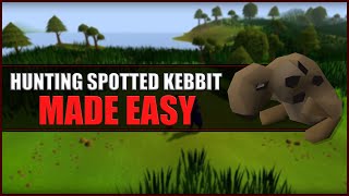 Quick Guide to Hunting Spotted Kebbit in OSRS  Hunter Guide  Hunters Rumours [upl. by Paget]