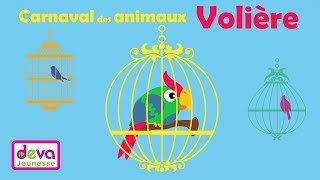 Volière Le carnaval des animaux ⒹⒺⓋⒶ Symphonic Orchestra [upl. by Ellehcsor610]