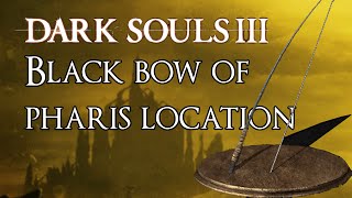 How to make a quotBowquot Only Build in Dark Souls Remastered [upl. by Ainet516]