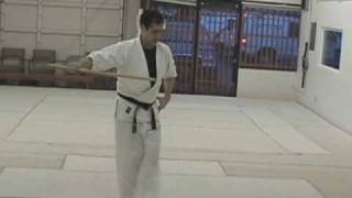 Bokken Kata 1 [upl. by Tterb]