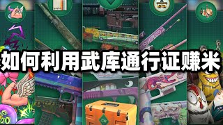 【CS2开箱】教你如何利用武库通行证赚米！！ [upl. by Stacie873]