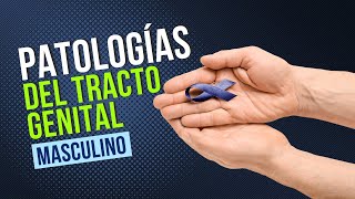 Emisión en directo  Patología del tracto genital masculino  Curso de patología 2024A [upl. by Ahsahs]