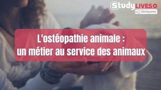 Lostéopathie animale  un métier au service des animaux [upl. by Sudoeht]