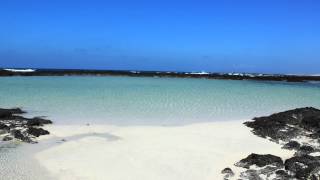 Le lagune del Cotillo  Spiagge bianche a Fuerteventura [upl. by Templas]