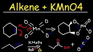 Alkene  KMnO4 Reaction [upl. by Lisan]