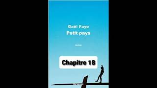 20  Petit Pays  Gael Faye  aide à la lecture  Chapitre 20 [upl. by Anrak629]