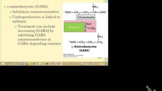 Using amino acids as biosynthetic precursors [upl. by Nivat]