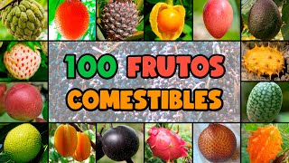 100 ESPECIES FRUTALES y COMESTIBLES [upl. by Edgerton]