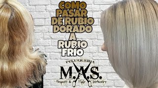 Cómo conseguir un cabello Rubio degradado en color ceniza Tipo Balayage [upl. by Dincolo]