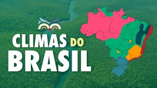 Climas do Brasil  Toda Matéria [upl. by Zelma]