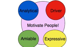 How to Motivate the 4 Personality Types  How to Speak The Secret Language of Personality Styles [upl. by Sapphira432]