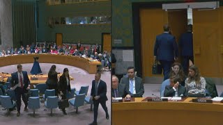 UN Israeli delegation walks out of Security Council meeting  AFP [upl. by Atikim]