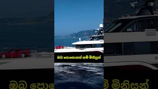 දිනන්න ඕනනම්  Sinhala Motivation Video  Motivation Short  Video  Sigma Attitude [upl. by Uttasta]