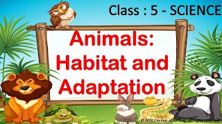 Animals Habitat amp Adaptation  Class 5  Science  CBSE  NCERT  Adaptation in Animals [upl. by Liscomb]