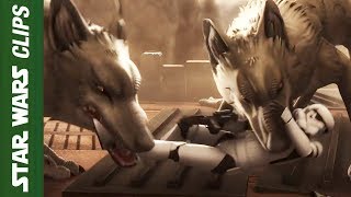 Loth Wolves vs Galactic Empire  Star Wars Clips [upl. by Valentine]