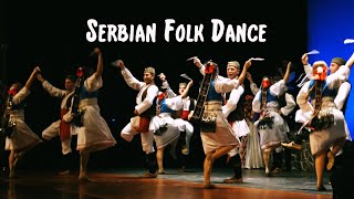 Serbian Folk Dance  The Tamburitzans [upl. by Nauht40]