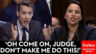 Josh Hawley Takes No Prisoners Grilling Key Judicial Nominee Why Are You Fighting Me On This [upl. by Kcirtap]