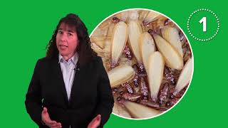 5 Signs You Might Have Termites [upl. by Leba]