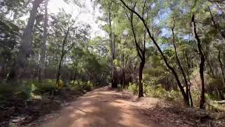 Boranup Forest  Margaret River Region [upl. by Pet]