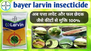 Bayer larvin insecticidethiodicarb 75wplarvin bayer [upl. by Ynamreg83]