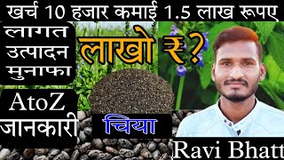 Chia Seeds की खेती से करें लाखों 💸💲का मुनाफा  Chia Seeds Farming Complete Details1एकर में 15लाख रु [upl. by Gerardo889]