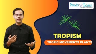 Tropism  Tropic Movements of Plants  Biology  Control and Coordination [upl. by Ellevehs]