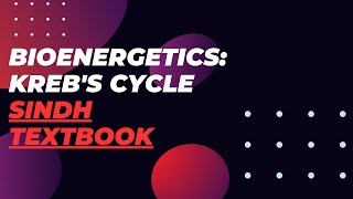 BIOENERGETICS  KREBS CYCLE  CITRIC ACID CYCLE  TRICARBOXYLIC ACID CYCLE  SINDH TEXT BOOK [upl. by Dante]