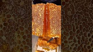 Extreme Honeycomb harvesting 🍯 Harvesting honey from beehive 🐝 EP78 trending shorts satisfying [upl. by Gregg]