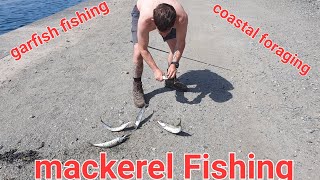 mackerel Fishing garfish Fishing coastal foraging North Welsh Manai and Holly head [upl. by Anirbac]