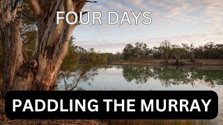 Canoe camping on Australias iconic Murray River [upl. by Annovaj]