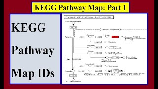 How to get the Kegg IDs for KEGG Pathway Map [upl. by Standish]