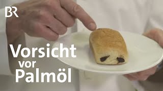 Palmöl Die fette Gefahr  Ernährung  BR [upl. by Nnaira]