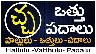 Cha Vattu Padalu  How to write Cha vattu  చ వత్తు పదాలు  Hallulu vatthulu padalu in telugu [upl. by Rj]