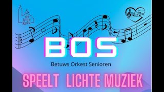 Betuws Orkest Senioren [upl. by Aikaj]