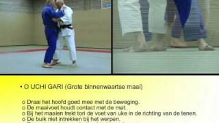 04 Judo in beeld  o uchi gari [upl. by Elamrej513]