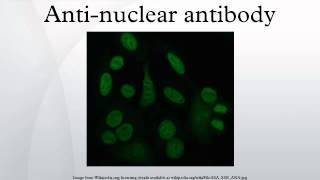 Antinuclear antibody [upl. by Ydak522]