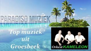 Orkest Kameleon uit Groesbeek meer dan 40 jaar Top muziek [upl. by Yssirc]