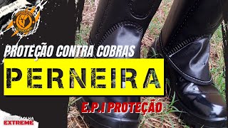 PERNEIRA  Contra picada de cobra e proteção na roçadeira [upl. by Faludi890]