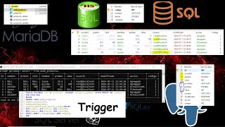 Creación de triggers y usuarios usando HeidiSQL para crear auditorias [upl. by Carlee]