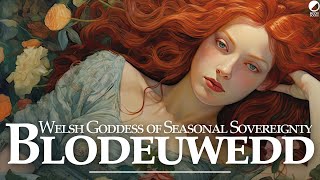 Blodeuwedd A Introduction to the Welsh Goddess of Seasonal Sovereignty Celtic Mythology Explained [upl. by Gertrudis730]