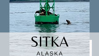 Sitka Alaska [upl. by Ferriter66]