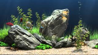 Dream Aquarium Virtual Fishtank 1 [upl. by Nate405]