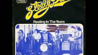 Reeling in the years  Steely Dan  Fausto Ramos [upl. by Ajnat]