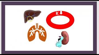 3 Minutes Acidocétose diabétique Causes Symptômes CDA et HHNS La cétoacidose Diabète Acidose [upl. by Palmira833]