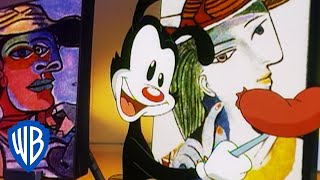 Animaniacs  The Warners and Picasso  Classic Cartoon  WB Kids [upl. by Notsirt]