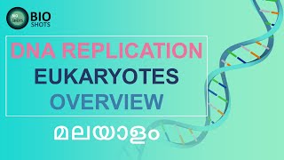 DNA REPLICATION IN EUKARYOTES  Overview  Detailed explanation Malayalam [upl. by Llertal]