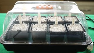 How To Use A Heated Propagator [upl. by Aramas]